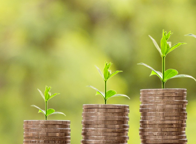 Three progressively larger stacks of gold-color coins with small plants growing out of the top of them