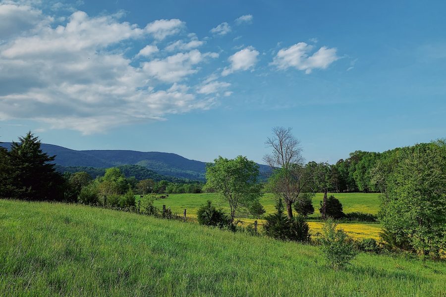 Rolling green fields with a few trees and larger hills in the background (location unknown)