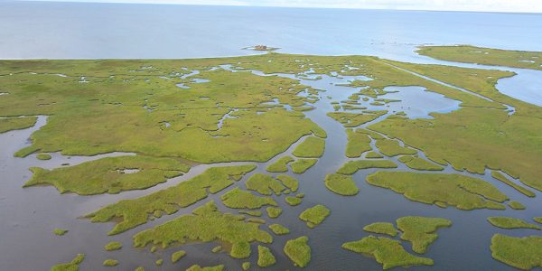 Economic Impact of Louisiana Coastal Management Investment