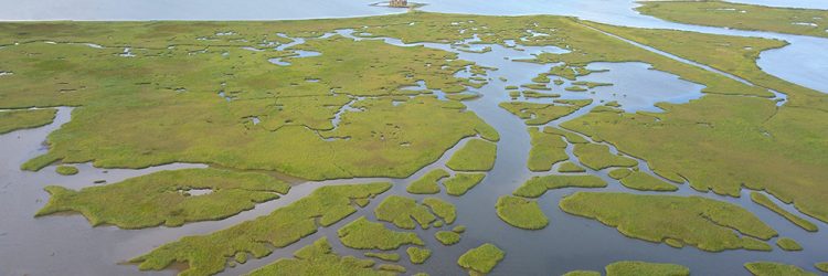 Economic Impact of Louisiana Coastal Management Investment