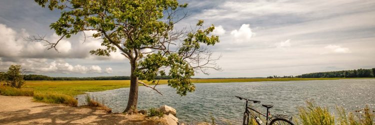 Economic Impact Analysis of Maine's Eastern Trail Helps Support Hall of Fame Induction