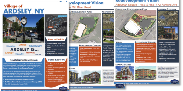 Market Analysis and Development Strategy for the Village of Ardsley, NY