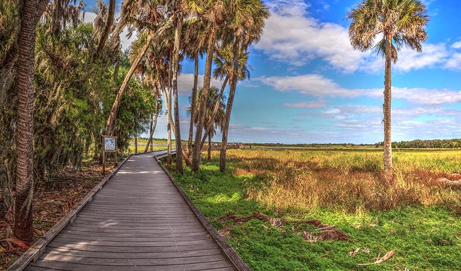 A wooden boardwalk winds through palm trees in the Myakka River State Park in North Port, Florida