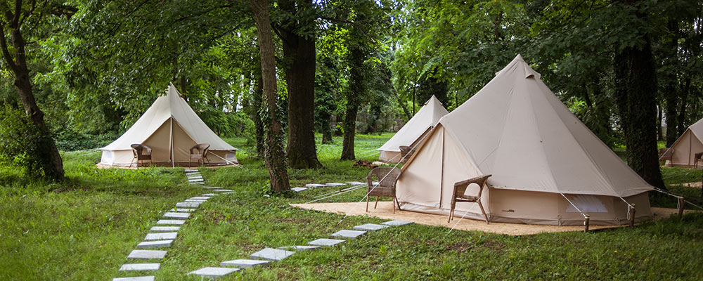 A cluster of glamping tents in a forested area