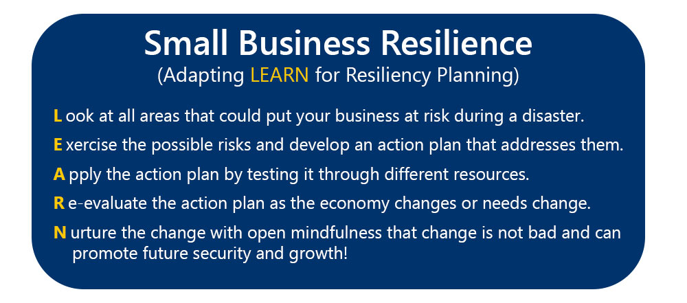 Small Business Assistance (Adapting Learn for Resilience Planning)