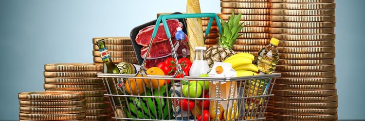 Counting Calories or Dollars? The Rising Cost of Food in America