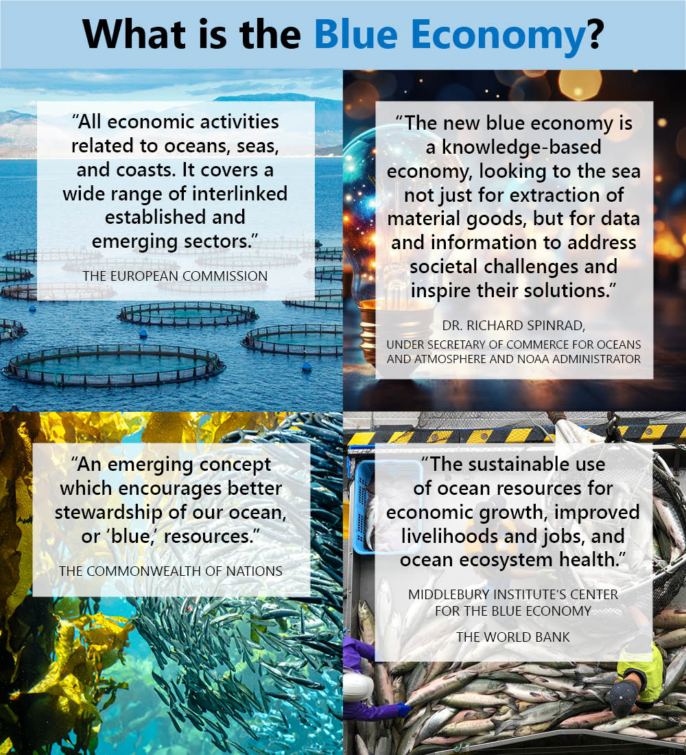 A graphic shows four different definitions of "Blue Economy". 1) The European Commission: "All economic activities related to oceans, seas, and coasts. It covers a wide range of interlinked established and emerging sectors." 2) Dr. Richard Spinrad, Undersecretary of Commerce for Oceans and Atmosphere and NOAA Administrator: “The new blue economy is a knowledge-based economy, looking to the sea not just for extraction of material goods, but for data and information to address societal challenges and inspire their solutions.” 3) The Commonwealth of Nations: “An emerging concept which encourages better stewardship of our ocean or 'blue' resources.“ 4) Middlebury Institute's Center for the Blue Economy and the World Bank: “The sustainable use of ocean resources for economic growth, improved livelihoods and jobs, and ocean ecosystem health.” 