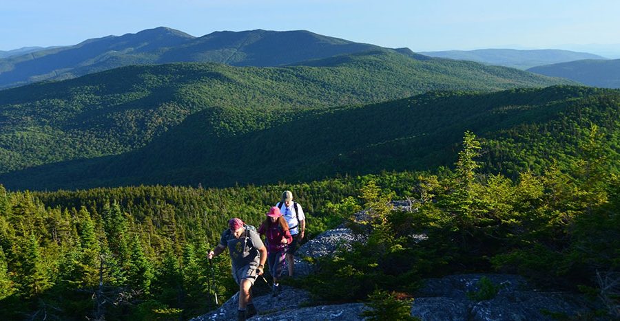 Three people wearing summer hiking gear walk single file along a forested trail in Vermont with a view of nearby mountains.