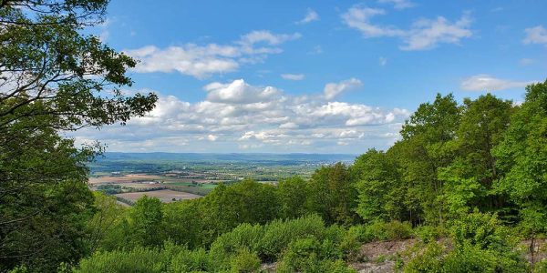 Economic Development Strategy for Centre County, PA