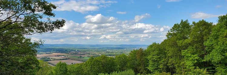 Economic Development Strategy for Centre County, PA