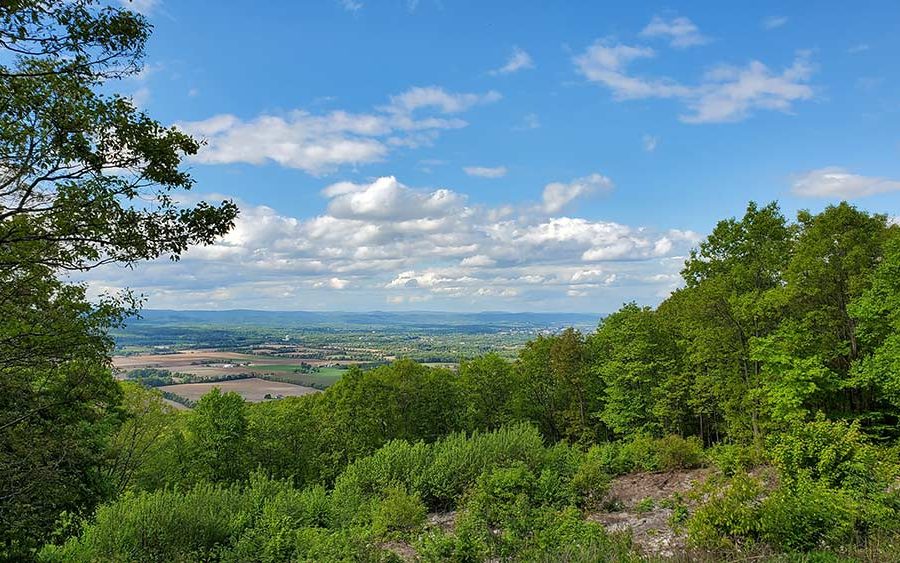 Economic Development Strategy for Centre County, PA