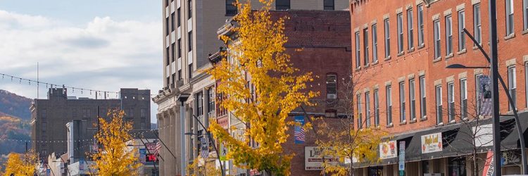 Growing From Within: What Entrepreneurship-Led Economic Development Looks Like in Action